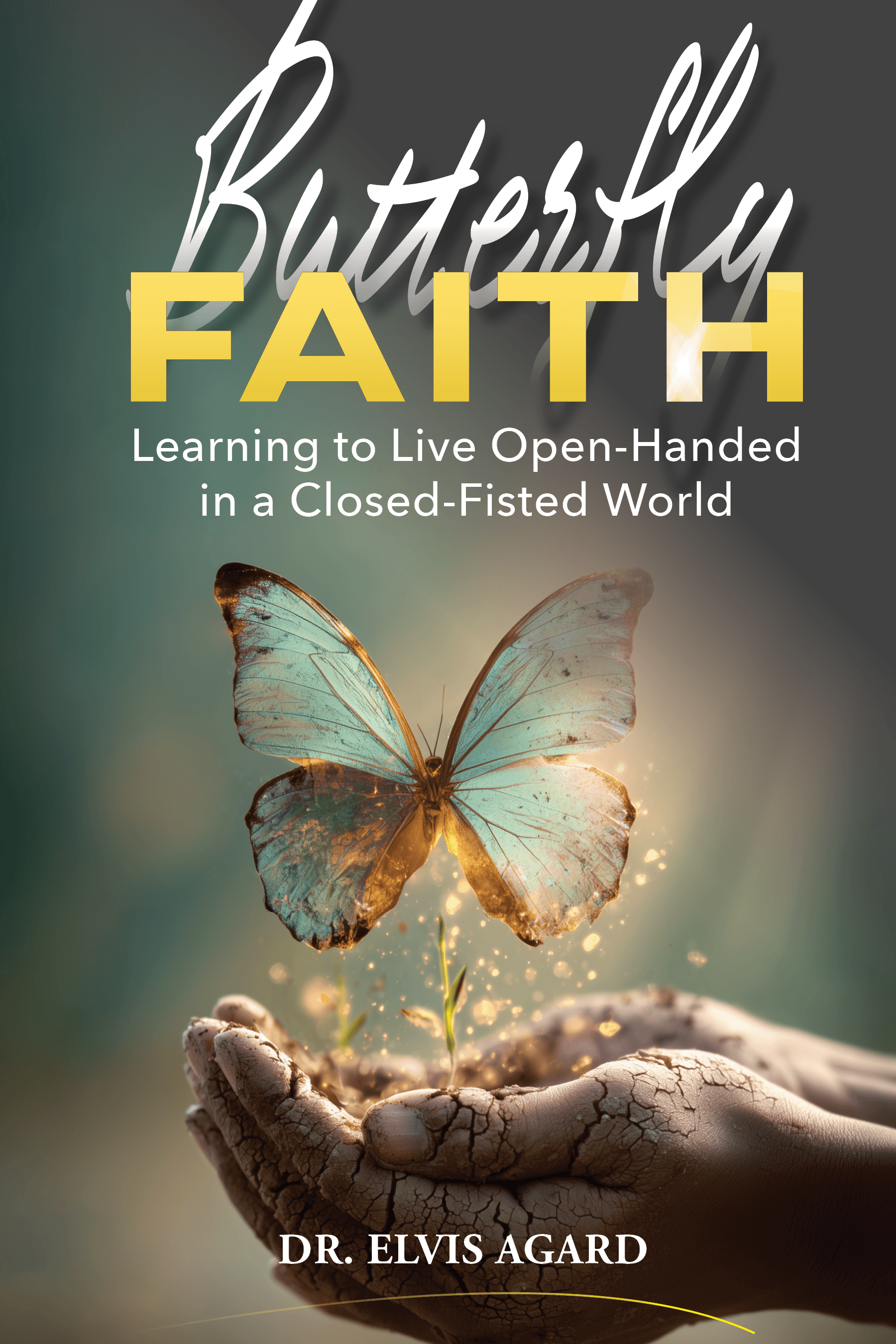 Butterfly Faith book cover